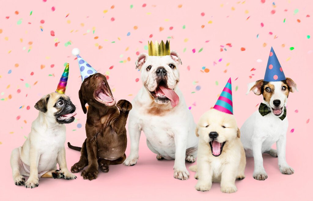 Dog Birthday Parties