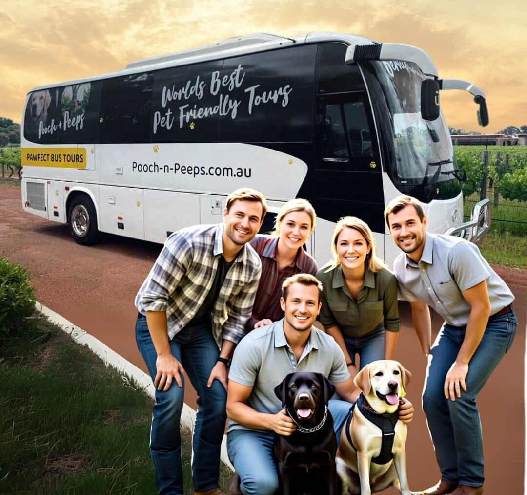 dog friendly tours