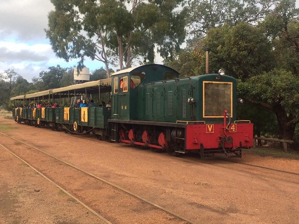 dog friendly Dwellingup forest train tour