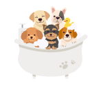 Group Size