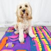 Interactive Snuffle Mat for Large Dogs Australia | DoggyTopiaDoggyTopia