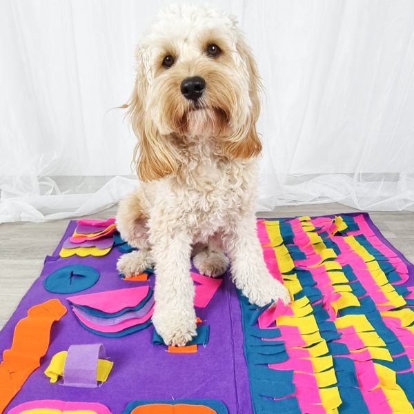 Interactive Snuffle Mat for Large Dogs Australia | DoggyTopiaDoggyTopia