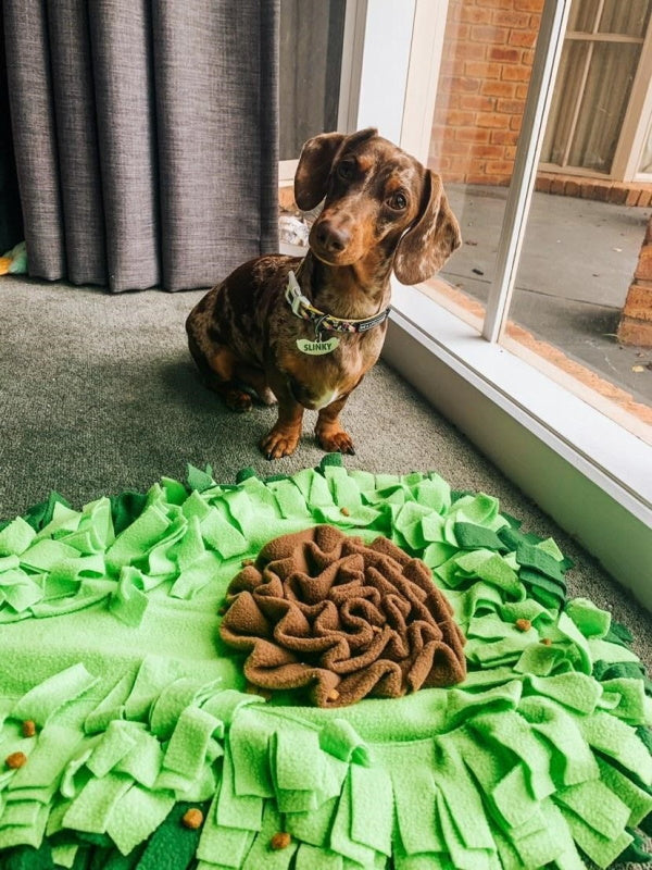 Avocado Dog Snuffle Mat | DoggyTopiaDoggyTopia