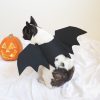Bat Wings Dog Halloween CostumeDoggyTopia