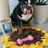DoggyTopia
