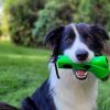 DoggyTopia