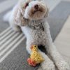 Rope Duck Dog Toy | DoggyTopiaDoggyTopia