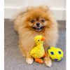 Rope Duck Dog Toy | DoggyTopiaDoggyTopia