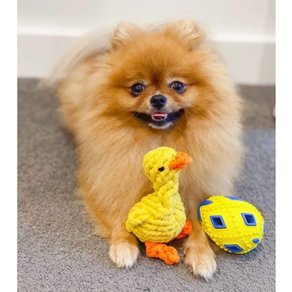 Rope Duck Dog Toy | DoggyTopiaDoggyTopia