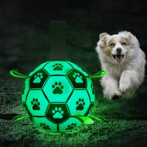 Glow In The Dark Interactive Dog Soccer Ball With Grab Tabs
