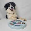DoggyTopia