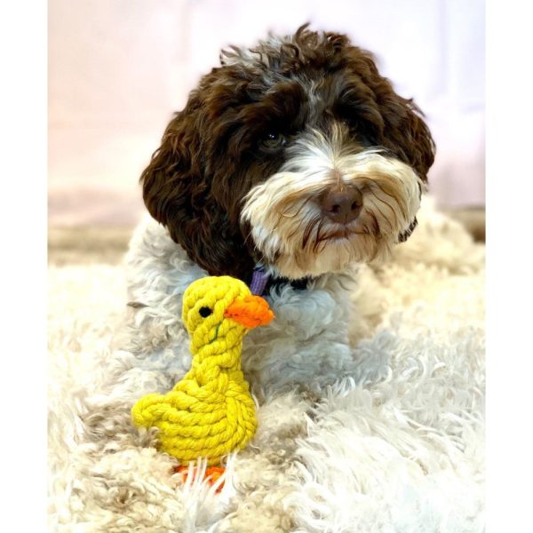Rope Duck Dog Toy | DoggyTopiaDoggyTopia