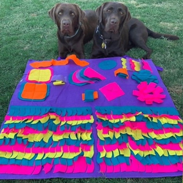 Interactive Snuffle Mat for Large Dogs Australia | DoggyTopiaDoggyTopia