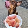 Silicone Paw Dog Ice Cube Tray LargeDoggyTopia