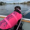 DoggyTopia