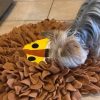 Lion Snuffle Mat for Dogs | AustraliaDoggyTopia