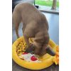 Pizza Snuffle Mat for dogs | DoggyTopiaDoggyTopia