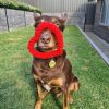 DoggyTopia