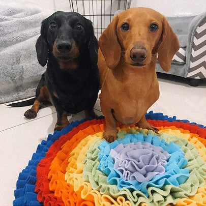 Over The Rainbow Snuffle Dog Mat | DoggyTopiaDoggyTopia