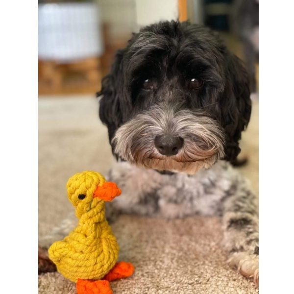 Rope Duck Dog Toy | DoggyTopiaDoggyTopia