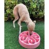 Slow Feeding Dog Bowl | DoggyTopiaDoggyTopia