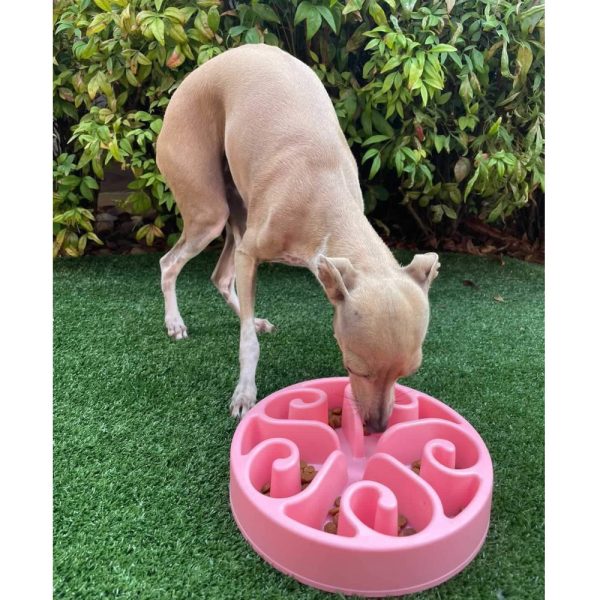 Slow Feeding Dog Bowl | DoggyTopiaDoggyTopia