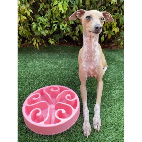 Slow Feeding Dog Bowl | DoggyTopiaDoggyTopia