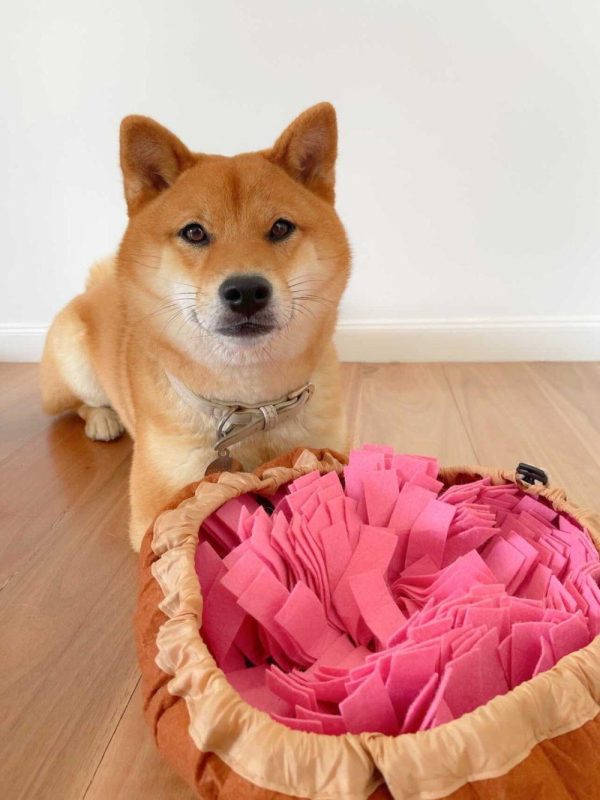 Snuffle Bowl Dog Mats Puppy Bowl Snuffle Mat | DoggyTopiaDoggyTopia