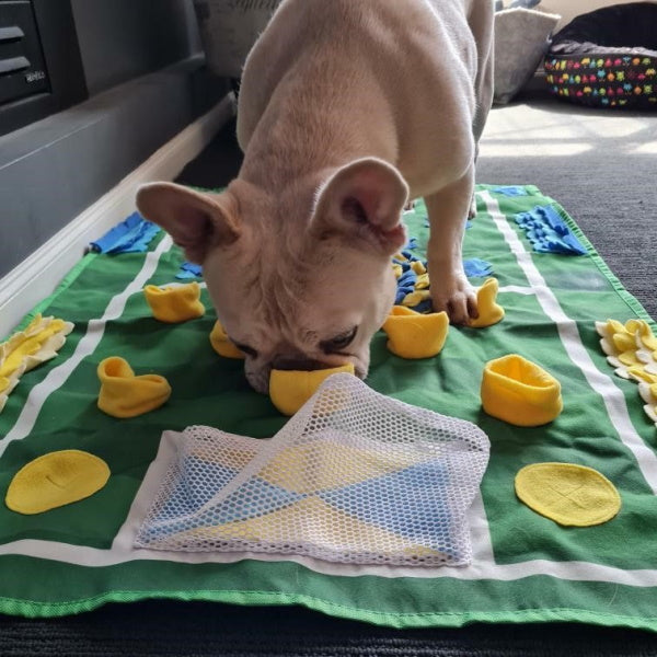 Soccer Field Snuffle Mat for Large Dogs | DoggyTopiaDoggyTopia