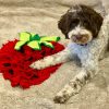 Strawberry Snuffle Dog Mat Australia | DoggyTopiaDoggyTopia