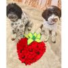 Strawberry Snuffle Dog Mat Australia | DoggyTopiaDoggyTopia