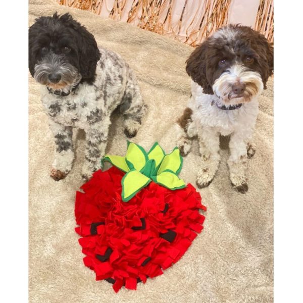 Strawberry Snuffle Dog Mat Australia | DoggyTopiaDoggyTopia