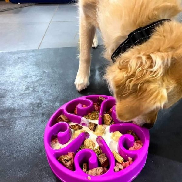 Slow Feeding Dog Bowl | DoggyTopiaDoggyTopia