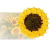 Sunflower Snuffle Mat for dogs Australia | DoggyTopiaDoggyTopia