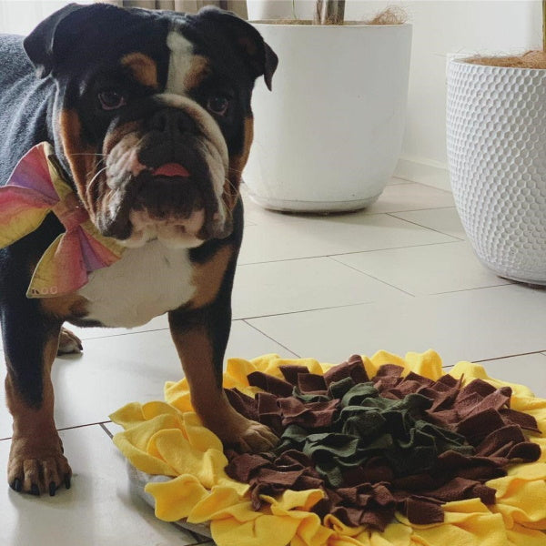 Sunflower Snuffle Mat for dogs Australia | DoggyTopiaDoggyTopia