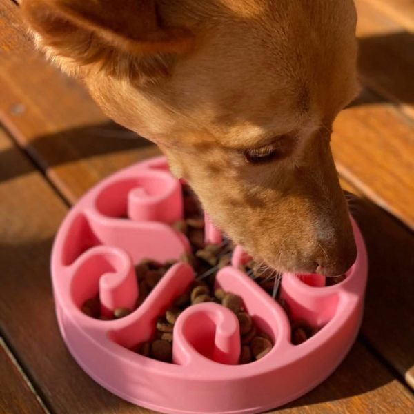 Slow Feeding Dog Bowl | DoggyTopiaDoggyTopia
