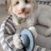 DoggyTopia