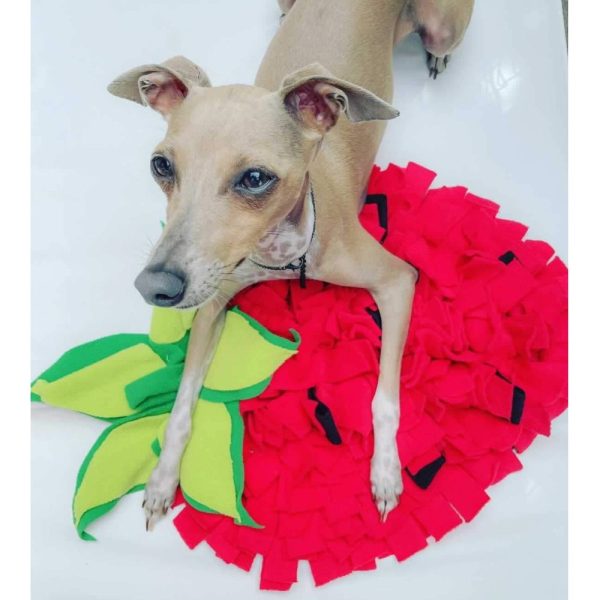 Strawberry Snuffle Dog Mat Australia | DoggyTopiaDoggyTopia