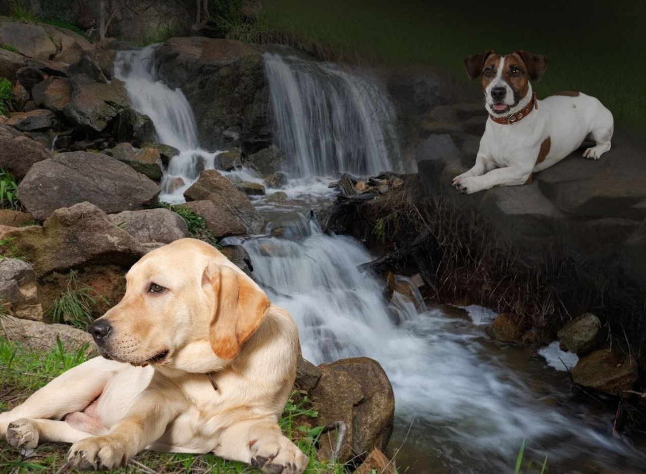 Waterfalls & Creek Escapade