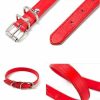 Dog Collar Buckle StyleDoggyTopia