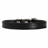 Dog Collar Buckle StyleDoggyTopia