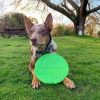 Dog-O-Soar Dog FrisbeeDoggyTopia