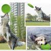 Dog-O-Soar Dog FrisbeeDoggyTopia