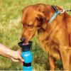 DoggyTopia