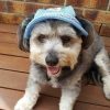 Full Brim Dog Sun HatDoggyTopia