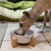 DoggyTopia