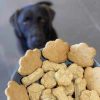 Paws and Bones Dog Ice Cube TrayDoggyTopia