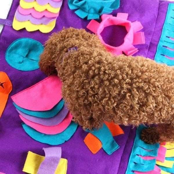 Interactive Snuffle Mat for Large Dogs Australia | DoggyTopiaDoggyTopia