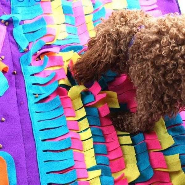Interactive Snuffle Mat for Large Dogs Australia | DoggyTopiaDoggyTopia