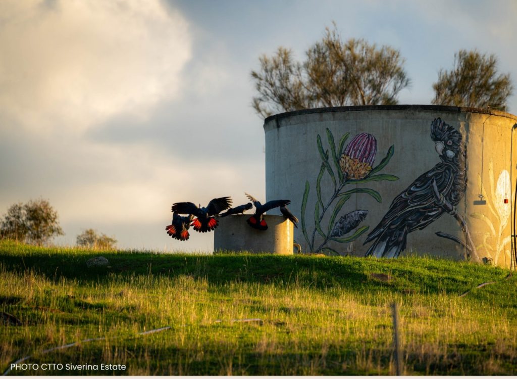 Chittering Valley​4